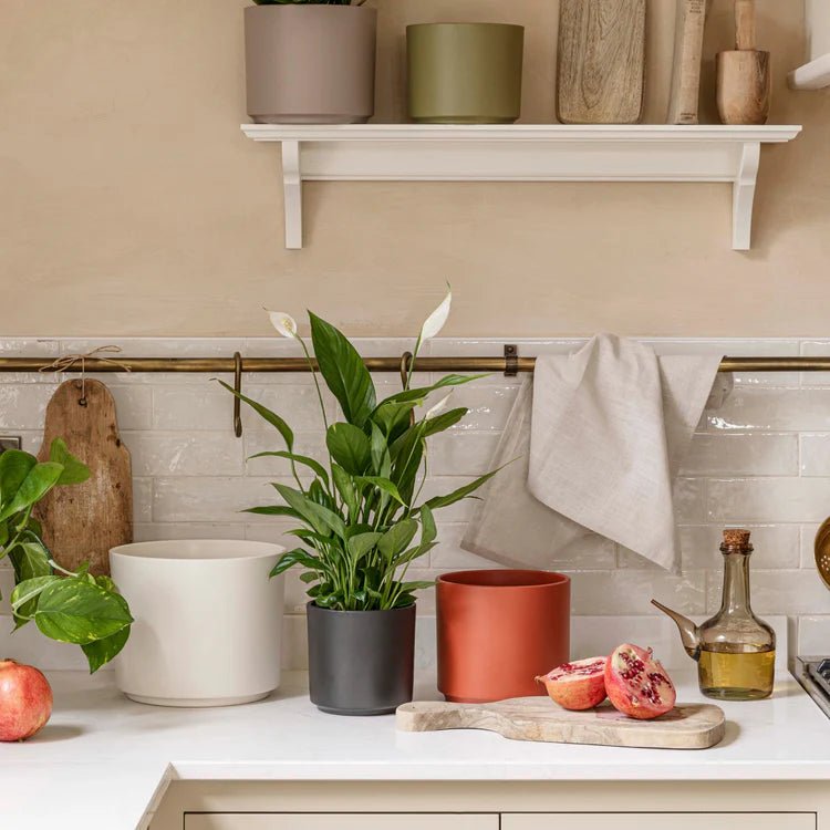 Indoor Taupe Ceramic Plant Pot Luxury Home Decor Garden & Outdoor And Gifts