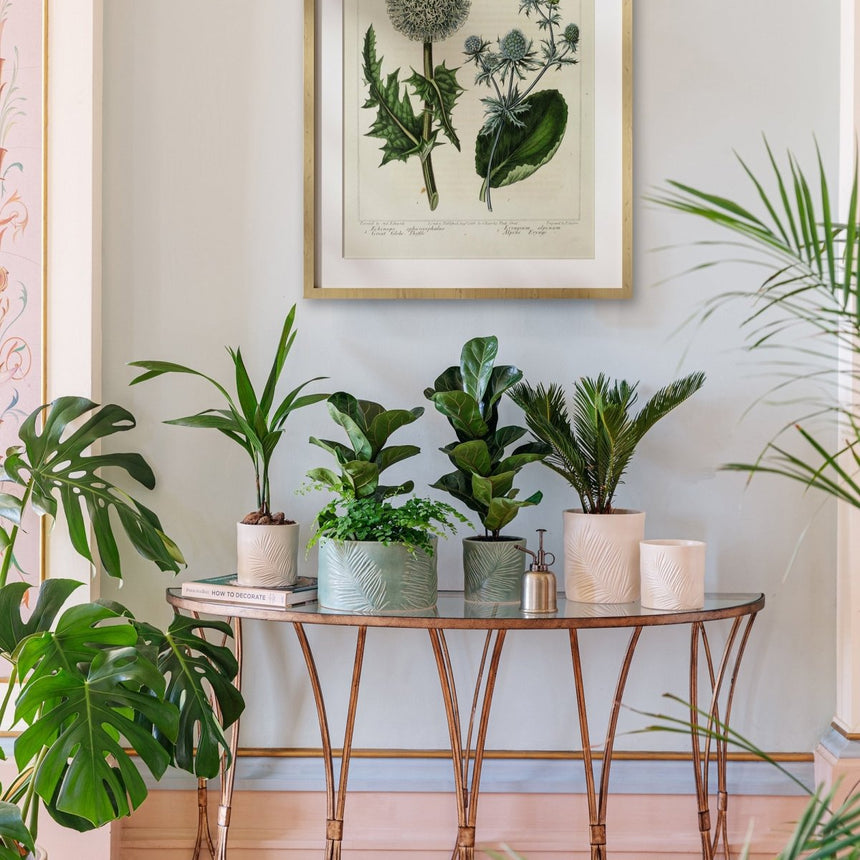 Kew Gardens Stoneware Palm Leaves Bowl Indoor Planter - Olive Green & Handmade Luxury Home Decor Garden & Outdoor And Gifts