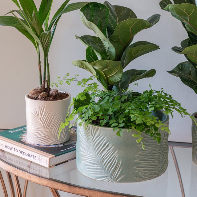 Kew Gardens Stoneware Palm Leaves Bowl Indoor Planter - Olive Green & Handmade Luxury Home Decor Garden & Outdoor And Gifts