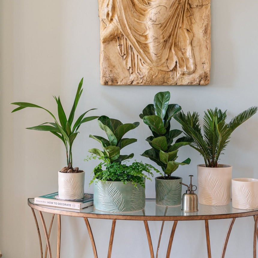 Kew Gardens Stoneware Palm Leaves Bowl Indoor Planter - Olive Green & Handmade Luxury Home Decor Garden & Outdoor And Gifts