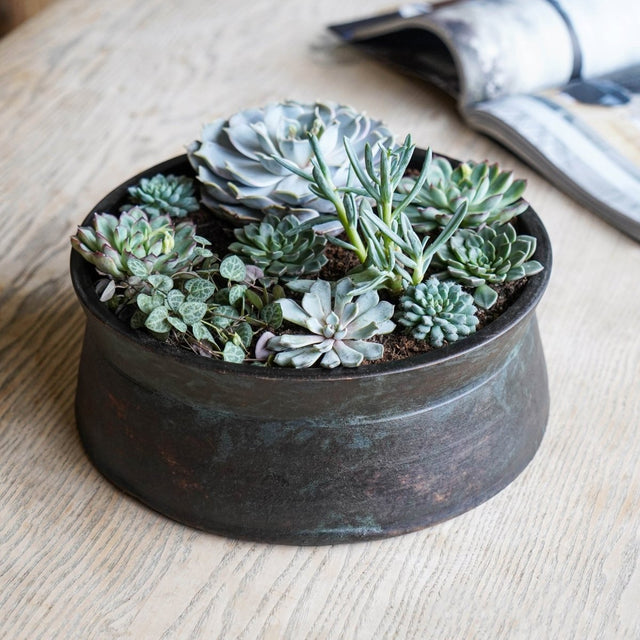 Kew Gardens Terracotta Bronze Finish Indoor Planter Bowl - Hand Thrown Ceramic Luxury Home Decor Garden & Outdoor And Gifts