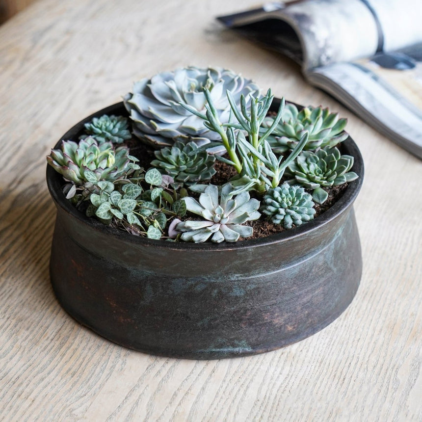 Kew Gardens Terracotta Bronze Finish Indoor Planter Bowl - Hand Thrown Ceramic Luxury Home Decor Garden & Outdoor And Gifts