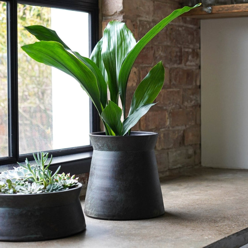 Kew Gardens Terracotta Bronze Finish Indoor Planter Bowl - Hand Thrown Ceramic Luxury Home Decor Garden & Outdoor And Gifts