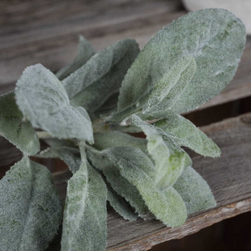 Lambs Ear Spray - Best Artificial Flower Single Stem Luxury Home Decor Garden & Outdoor And Gifts