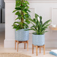 Large Cornflower Blue Indoor Planter With Stand - Embossed Flower Pattern Luxury Home Decor Garden & Outdoor And Gifts