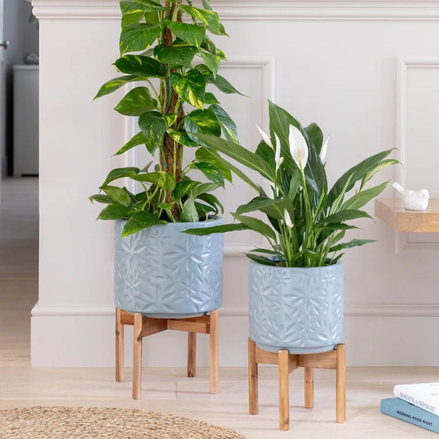 Large Cornflower Blue Indoor Planter With Stand - Embossed Flower Pattern Luxury Home Decor Garden & Outdoor And Gifts