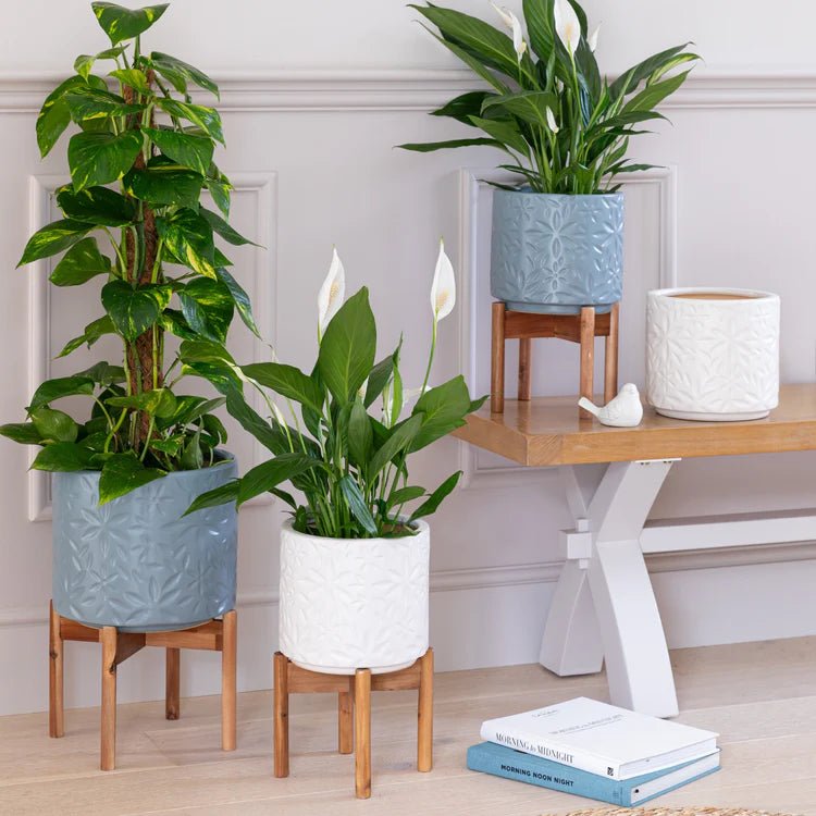 Large Cornflower Blue Indoor Planter With Stand - Embossed Flower Pattern Luxury Home Decor Garden & Outdoor And Gifts