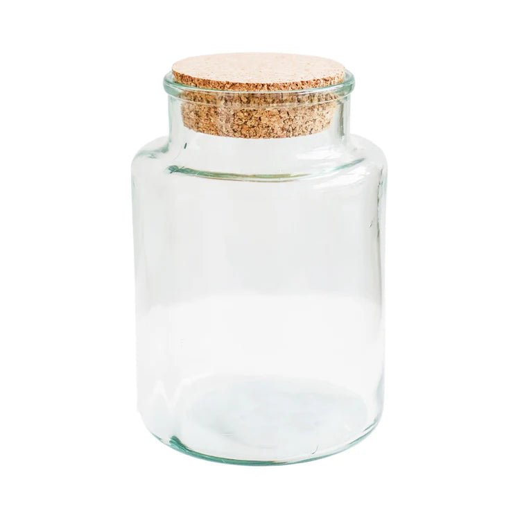 Large DIY 30% Recycled Glass Jar Terrarium Kit Luxury Home Decor Garden & Outdoor And Gifts