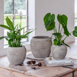 Large Indoor Round Rustic Grey Planter Luxury Home Decor Garden & Outdoor And Gifts