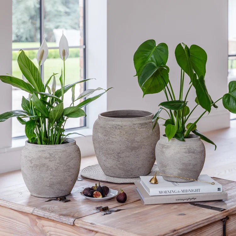 Large Indoor Round Rustic Grey Planter Luxury Home Decor Garden & Outdoor And Gifts