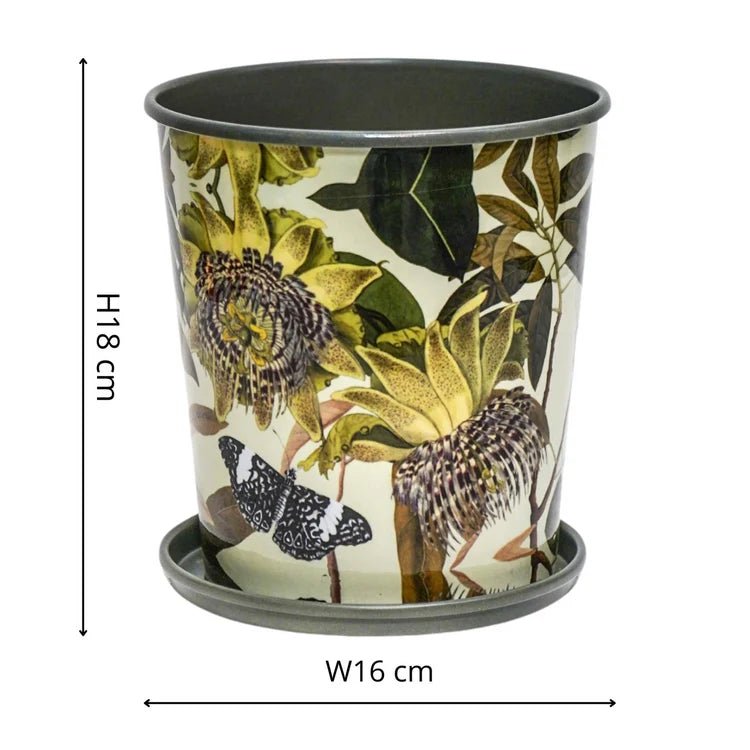 Large Kew Gardens Archive Print Metal Planter & Saucer Set - Comes in a Gift Box Luxury Home Decor Garden & Outdoor And Gifts