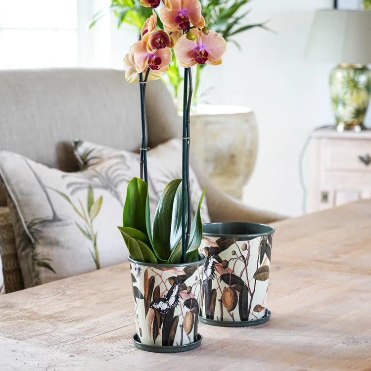 Large Kew Gardens Archive Print Metal Planter & Saucer Set - Comes in a Gift Box Luxury Home Decor Garden & Outdoor And Gifts