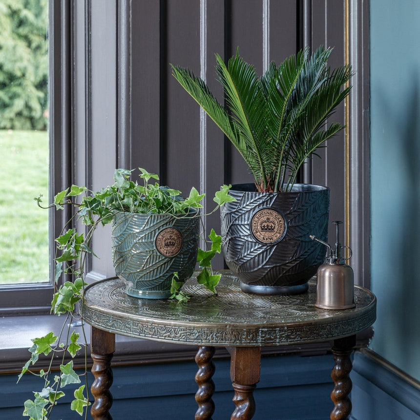 Large Kew Gardens Ceramic Leaf Inspired Charcoal / Dark Grey Indoor Planter Luxury Home Decor Garden & Outdoor And Gifts