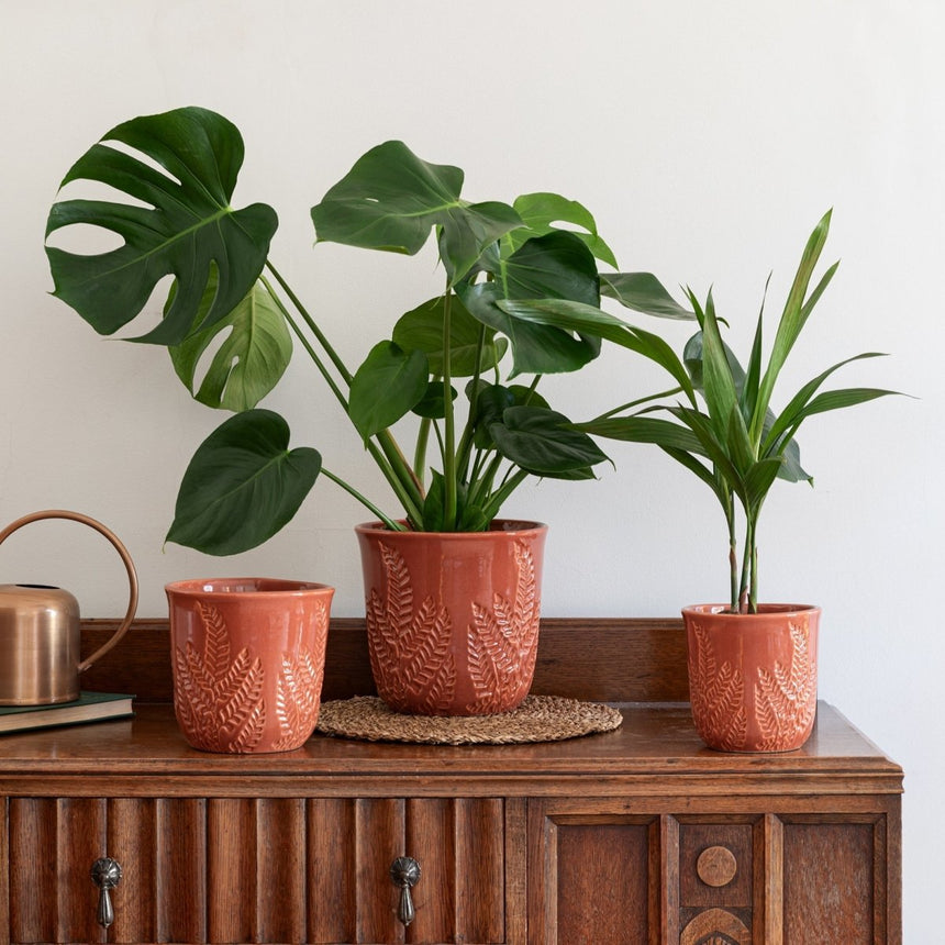 Large Kew Gardens Ceramic Stoneware Indoor Planter - Fern Leaves Warm Rust Luxury Home Decor Garden & Outdoor And Gifts