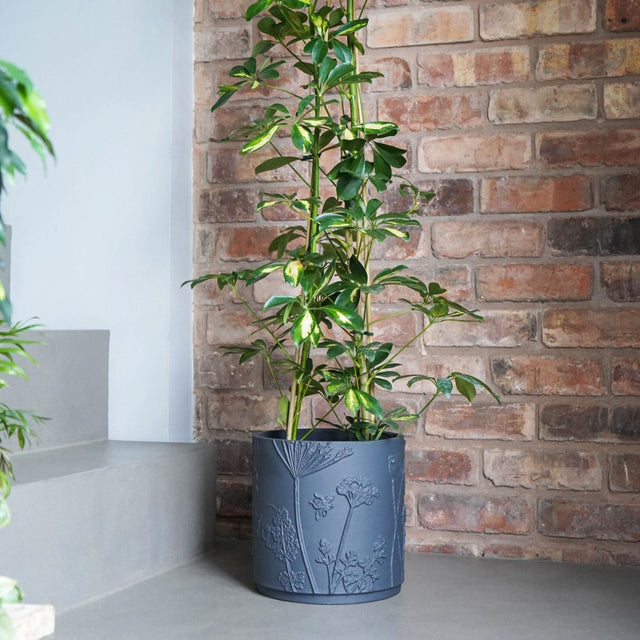 Large Kew Gardens Stoneware Dark Grey Indoor Planter - Handmade With a Meadow Flowers Embossed Pattern Luxury Home Decor Garden & Outdoor And Gifts