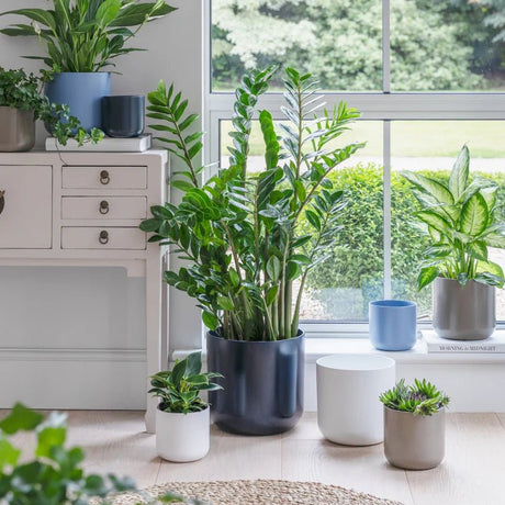 Large Minimalist Greige Ceramic Indoor Planter Luxury Home Decor Garden & Outdoor And Gifts