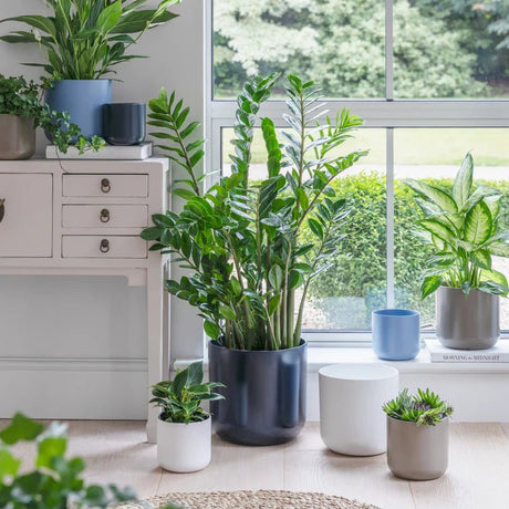 Large Minimalist Sky Blue Ceramic Indoor Planter Luxury Home Decor Garden & Outdoor And Gifts