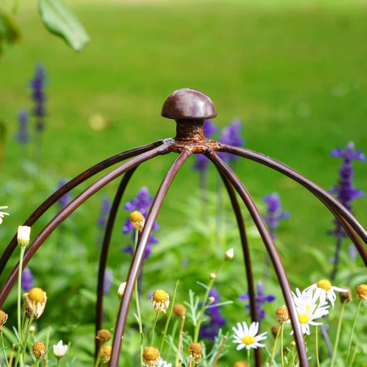 Large Outdoor Garden Metal Plant Support Bronze Finish - Frost Resistant, Protective Coating Quality Home Decor Garden & Outdoor Living and Gifts