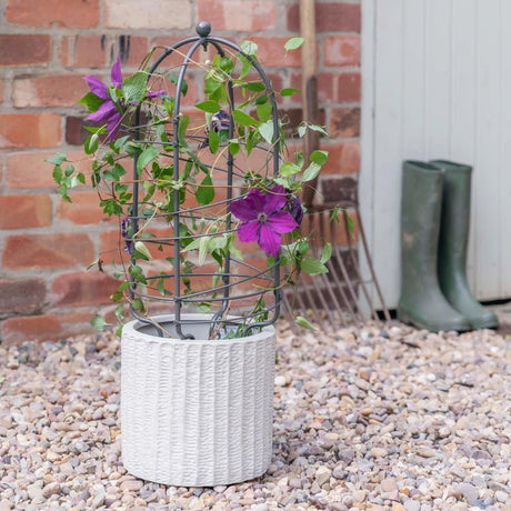 Large Outdoor Garden Metal Plant Support Zinc Finish - Frost Resistant, Protective Coating Quality Home Decor Garden & Outdoor Living and Gifts