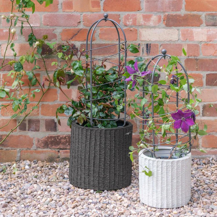 Large Outdoor Garden Metal Plant Support Zinc Finish - Frost Resistant, Protective Coating Quality Home Decor Garden & Outdoor Living and Gifts