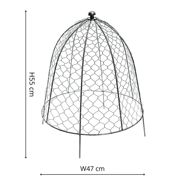 Large Outdoor Garden Wire Netted Plant Protector Cage/Cover Zinc Finish - Frost Resistant Quality Home Decor Garden & Outdoor Living and Gifts