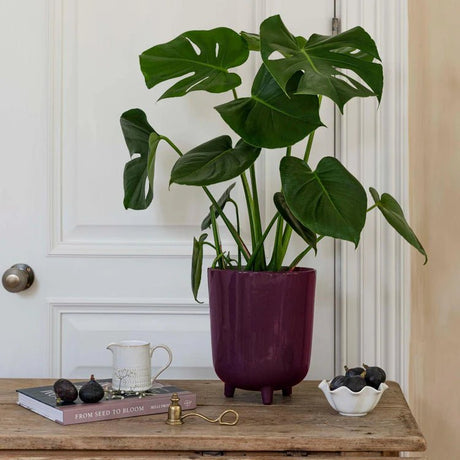 Large Plum Purple Speckled Indoor Plant Pot Luxury Home Decor Garden & Outdoor And Gifts