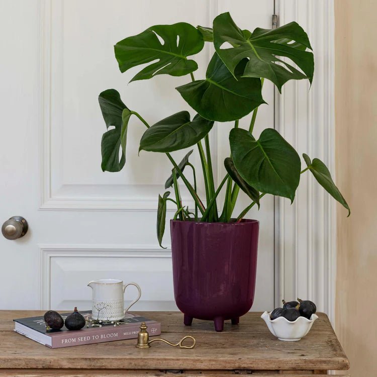 Large Plum Purple Speckled Indoor Plant Pot Luxury Home Decor Garden & Outdoor And Gifts