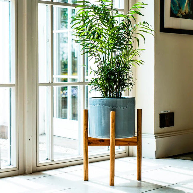 Large Silver Grey Ceramic Indoor Planter Stand - With Tall Wooden Legs Luxury Home Decor Garden & Outdoor And Gifts