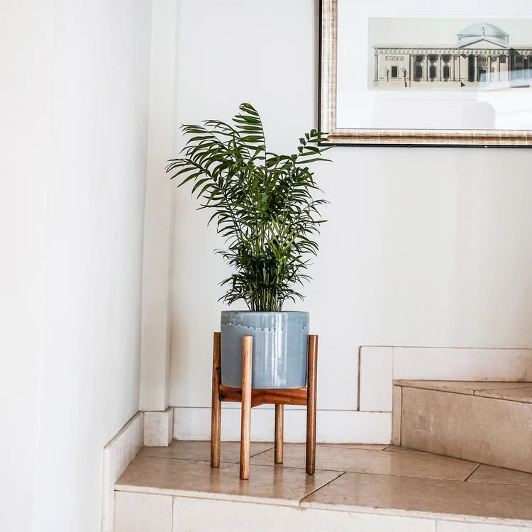 Large Silver Grey Ceramic Indoor Planter Stand - With Tall Wooden Legs Luxury Home Decor Garden & Outdoor And Gifts