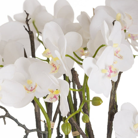 Large Stone Potted Orchid With Roots Luxury Home Decor Garden & Outdoor And Gifts