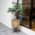 Large Water Hyacinth Basket Indoor Pot Planter Luxury Home Decor Garden & Outdoor And Gifts