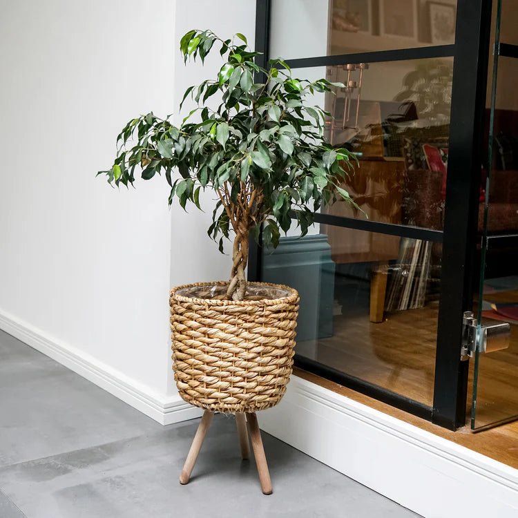 Large Water Hyacinth Basket Indoor Pot Planter Luxury Home Decor Garden & Outdoor And Gifts