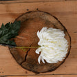 Large White Chrysanthemum - Best Artificial Flower Single Stem Luxury Home Decor Garden & Outdoor And Gifts