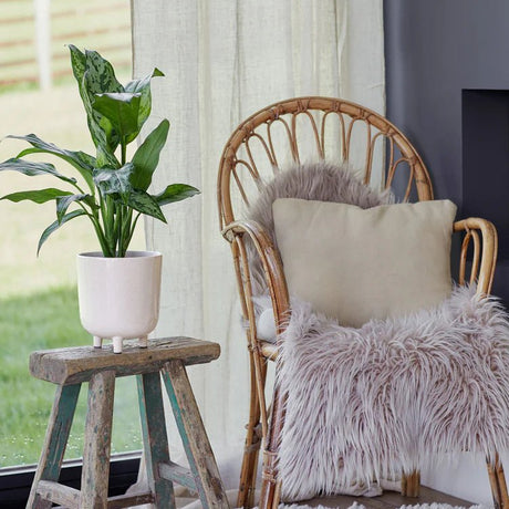 Large White & Grey Speckled Indoor Plant Pot Luxury Home Decor Garden & Outdoor And Gifts