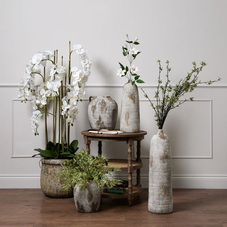 Large White Orchid In Antique Stone Pot Luxury Home Decor Garden & Outdoor And Gifts