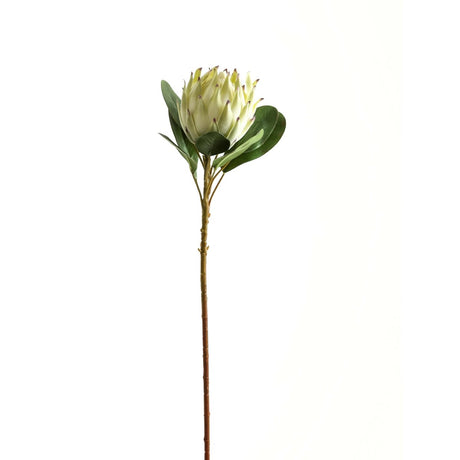 Large White Protea - Best Artificial Flower Single Stem Luxury Home Decor Garden & Outdoor And Gifts