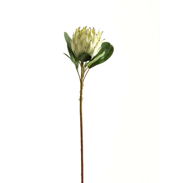 Large White Protea - Best Artificial Flower Single Stem Luxury Home Decor Garden & Outdoor And Gifts