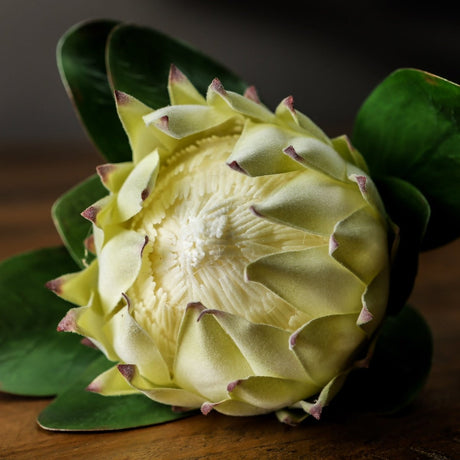 Large White Protea - Best Artificial Flower Single Stem Luxury Home Decor Garden & Outdoor And Gifts