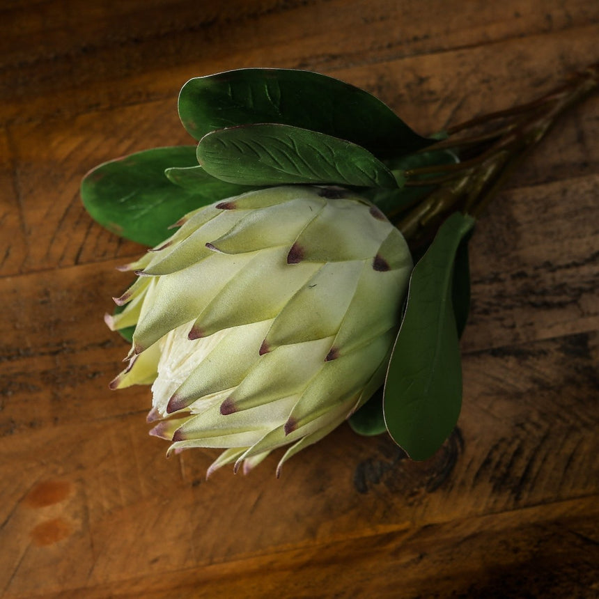Large White Protea - Best Artificial Flower Single Stem Luxury Home Decor Garden & Outdoor And Gifts