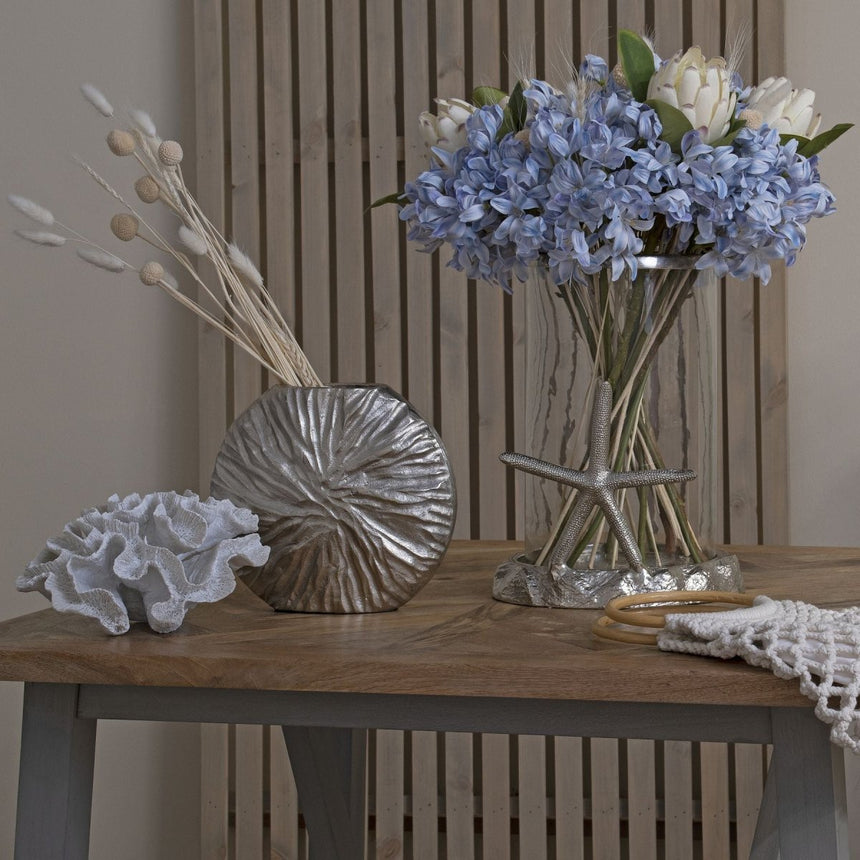 Light Blue Large Headed Agapanthus Luxury Home Decor Garden & Outdoor And Gifts