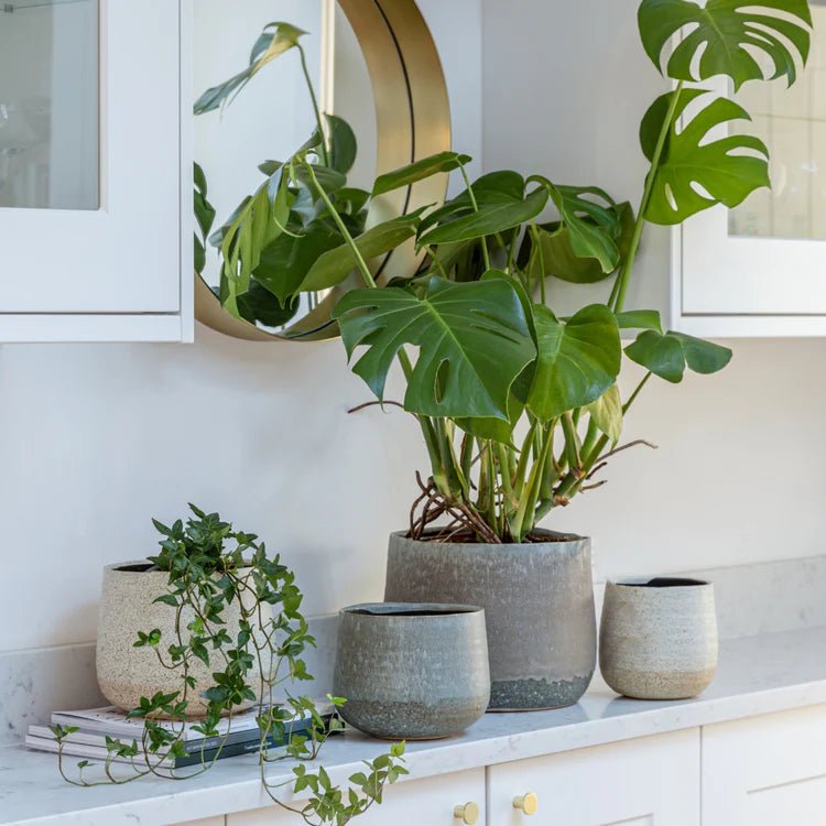 Light Cream Ceramic Indoor Planter - Round Rustic Design Luxury Home Decor Garden & Outdoor And Gifts