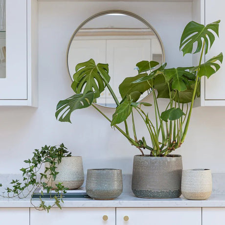 Light Cream Ceramic Indoor Planter - Round Rustic Design Luxury Home Decor Garden & Outdoor And Gifts