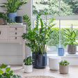 Lisbon Indoor Planter French Navy Ceramic - Waterproof, Smooth Finish, Minimalist Quality Home Decor Garden & Outdoor Living and Gifts
