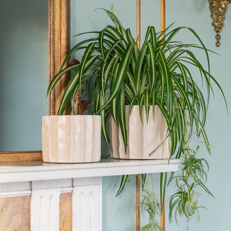 Medium Kew Gardens Indoor Ivory Ripple Planter - Satin Glazed Earthenware Luxury Home Decor Garden & Outdoor And Gifts