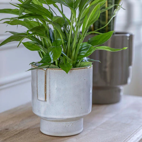 Milky White Stoneware Indoor Planter - Glazed Handles Luxury Home Decor Garden & Outdoor And Gifts