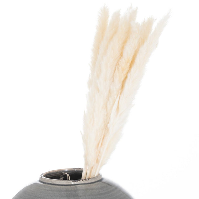 Mini White Pampas Grass Bunch of 15 - Best Artificial Flower Single Stem Luxury Home Decor Garden & Outdoor And Gifts