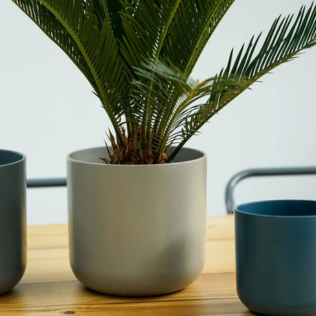 Minimalist Light Grey Ceramic Indoor Planter Luxury Home Decor Garden & Outdoor And Gifts