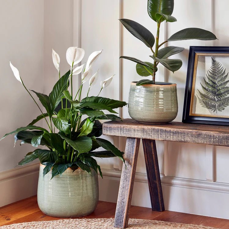 Mint Green Ceramic Indoor Plant Pot Luxury Home Decor Garden & Outdoor And Gifts