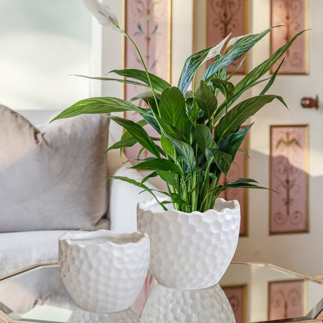 Modern Kew Gardens Ceramic Indoor Planter - Matt White Satin Glazed Luxury Home Decor Garden & Outdoor And Gifts