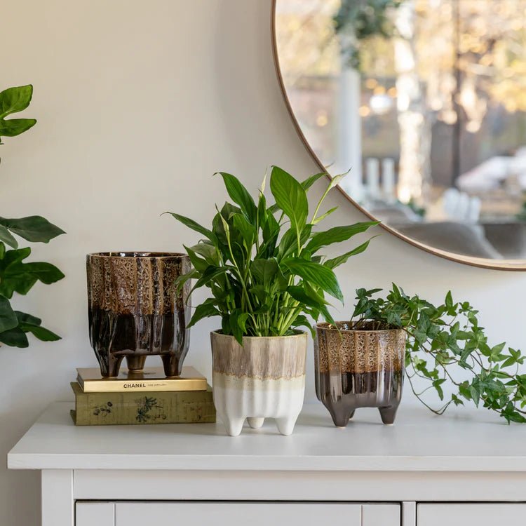 Neve Indoor Planter & Plant Pot - Brown Quality Home Decor Garden & Outdoor Living and Gifts